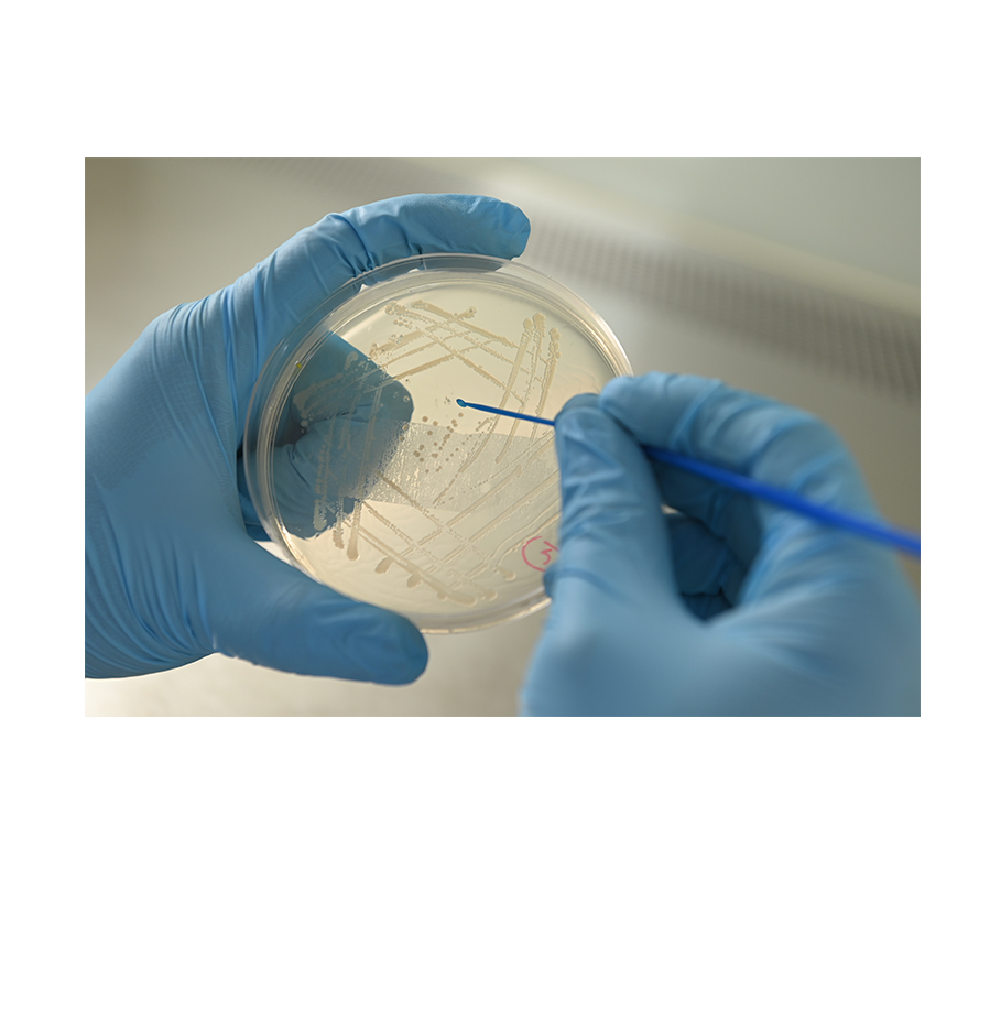 中国·tyc7111cc太阳成