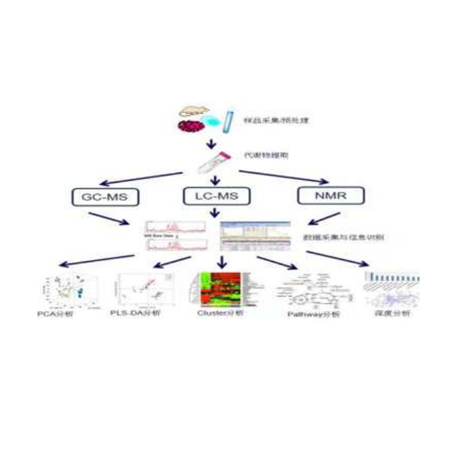 中国·tyc7111cc太阳成