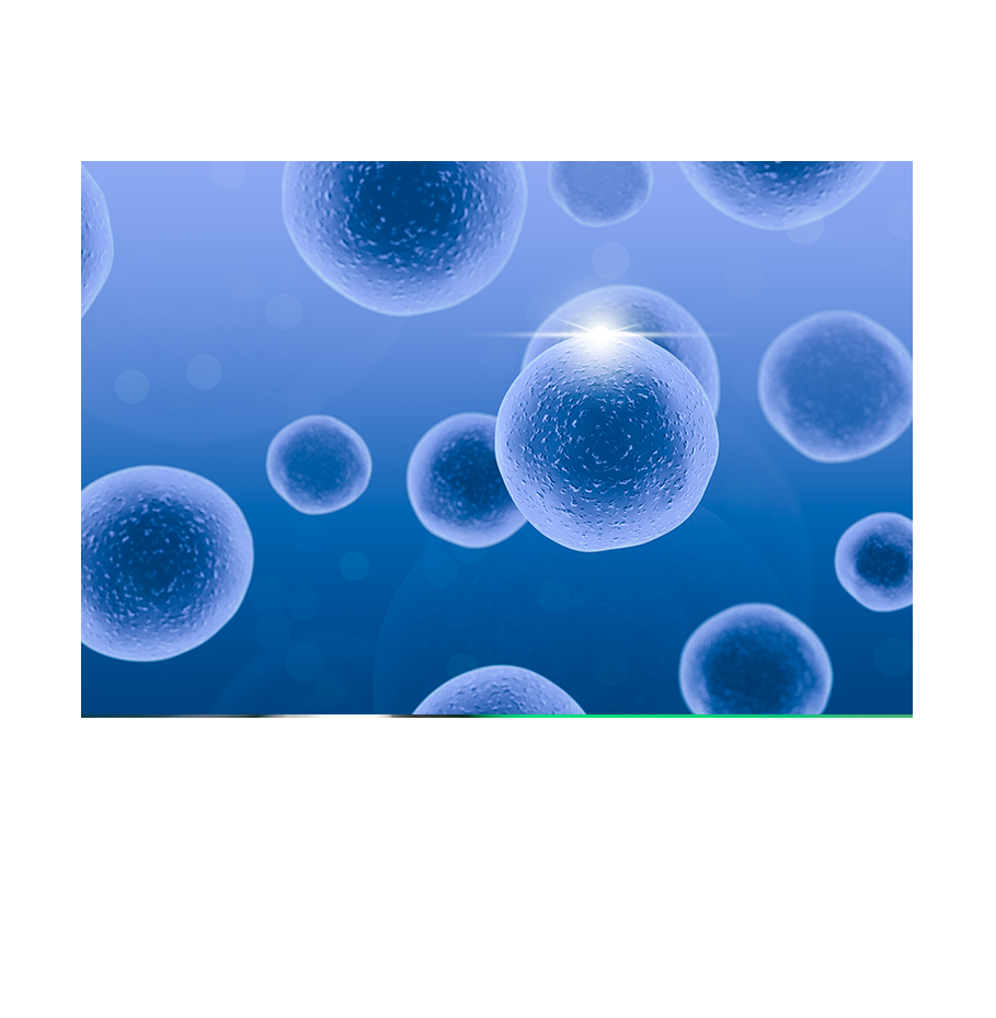 中国·tyc7111cc太阳成