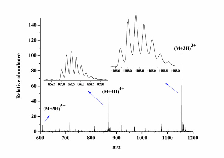 生物蛋白分析--多肽成分分析