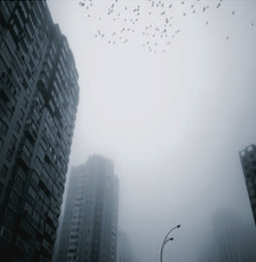 中国·tyc7111cc太阳成