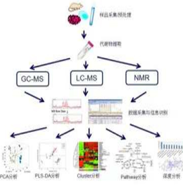 中国·tyc7111cc太阳成