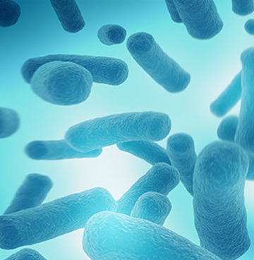 中国·tyc7111cc太阳成