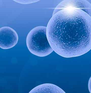 中国·tyc7111cc太阳成