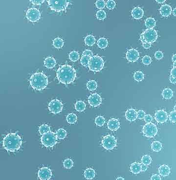 中国·tyc7111cc太阳成