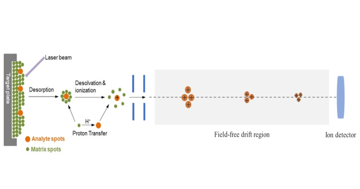 中国·tyc7111cc太阳成