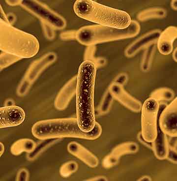 中国·tyc7111cc太阳成