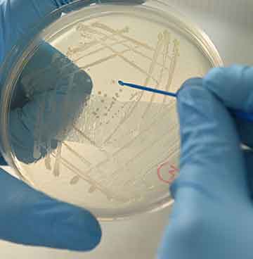 中国·tyc7111cc太阳成