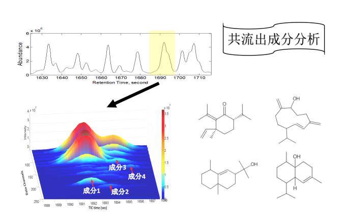 中国·tyc7111cc太阳成