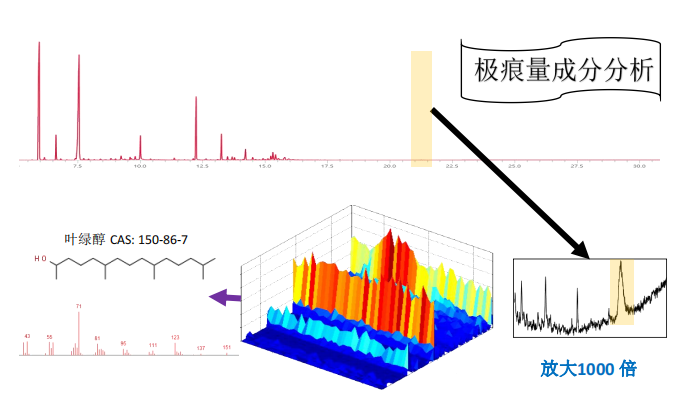 中国·tyc7111cc太阳成