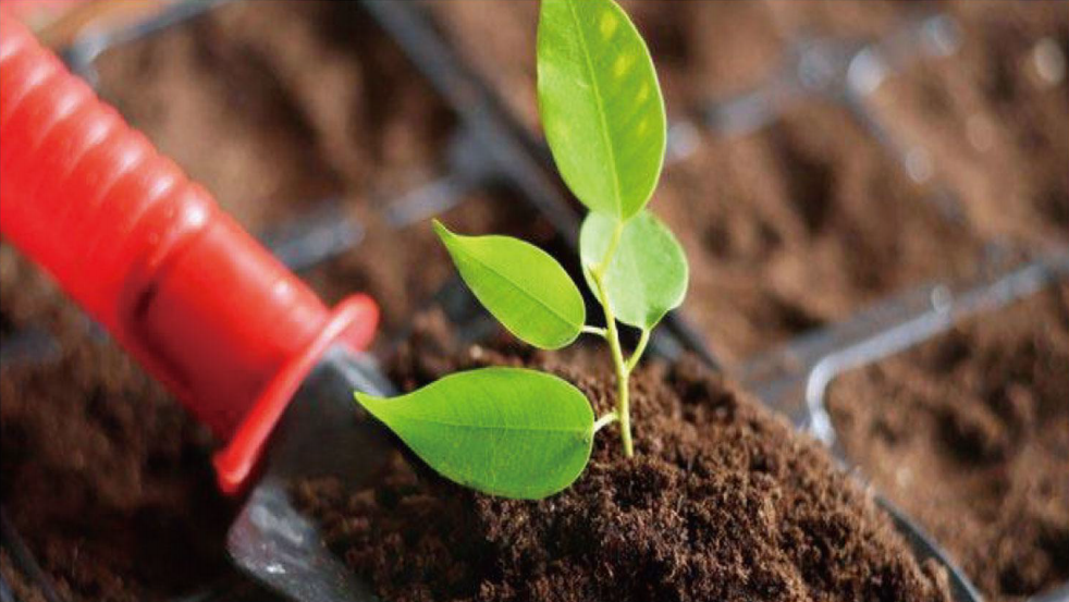 Environmental Protection