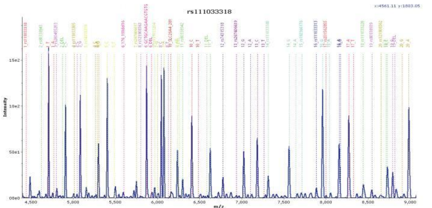 Detection of Gene Mutation in Hereditary Deafness