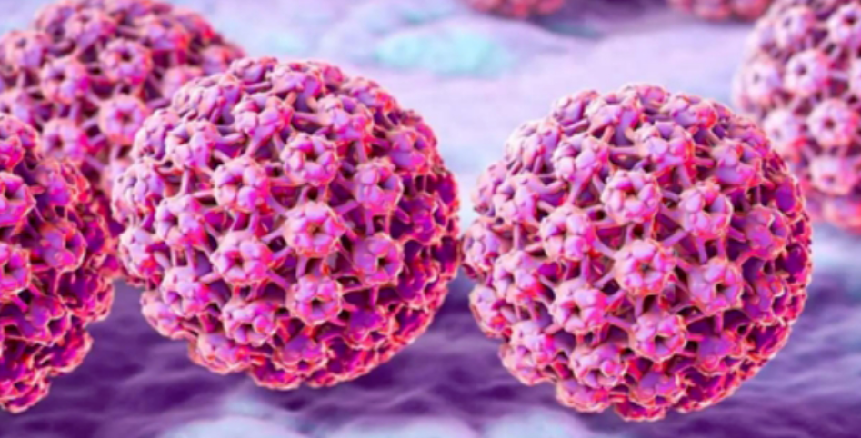 中国·tyc7111cc太阳成