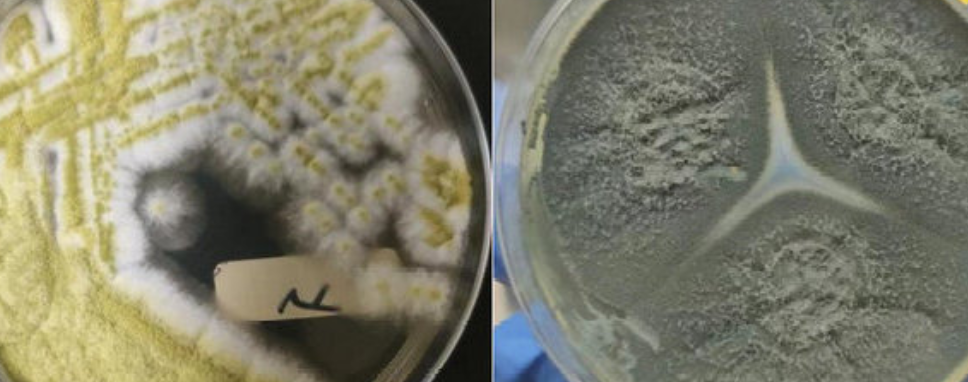 中国·tyc7111cc太阳成