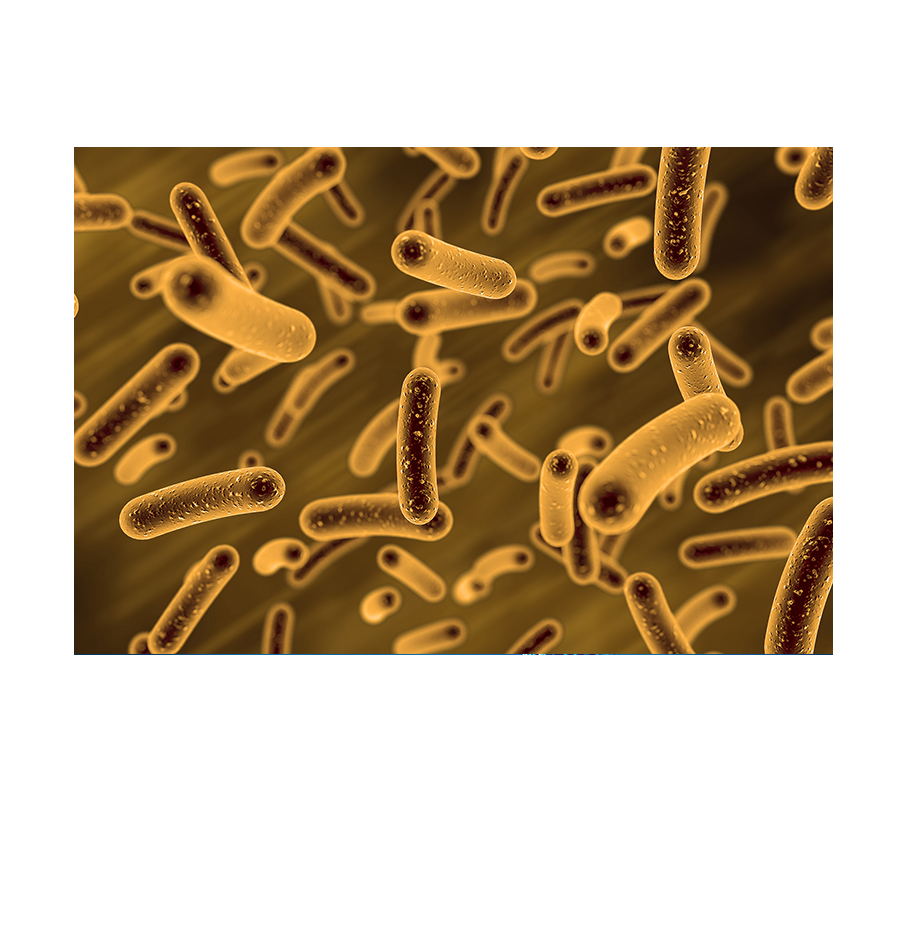 中国·tyc7111cc太阳成