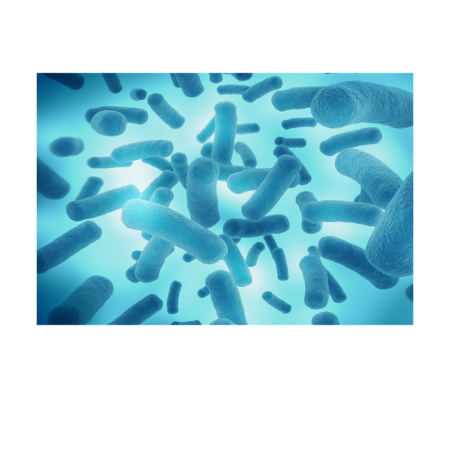 中国·tyc7111cc太阳成