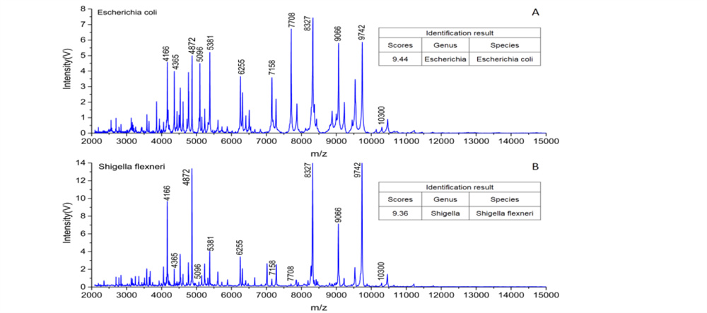 中国·tyc7111cc太阳成