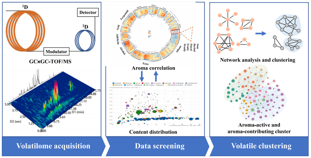 “香气-挥发物”耦合网络分析策略示意图