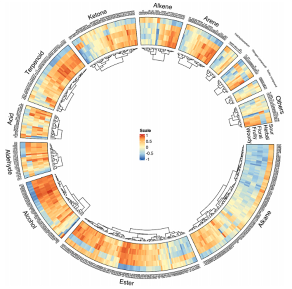 刺梨香气与挥发物相关性可视化分析