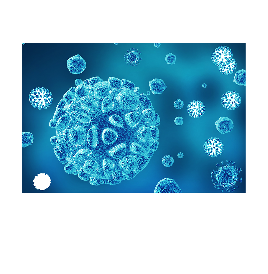 中国·tyc7111cc太阳成