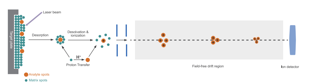 中国·tyc7111cc太阳成