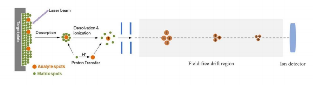 中国·tyc7111cc太阳成