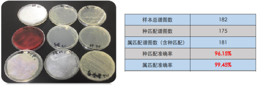 中国·tyc7111cc太阳成