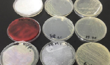 中国·tyc7111cc太阳成