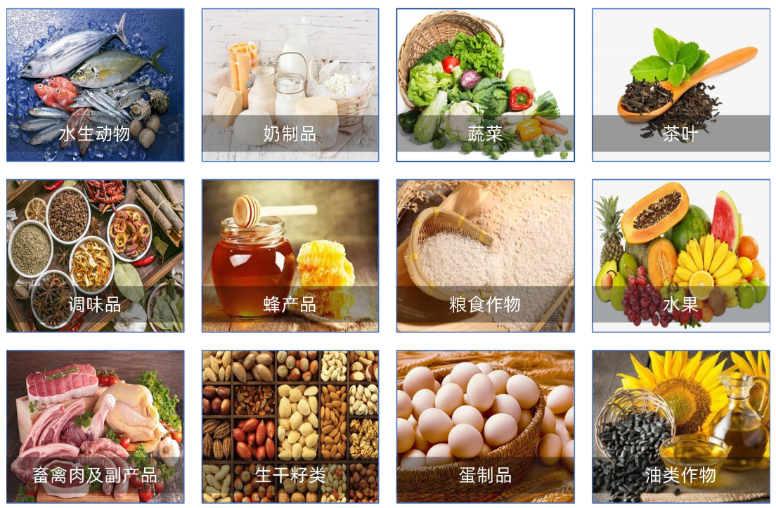 中国·tyc7111cc太阳成